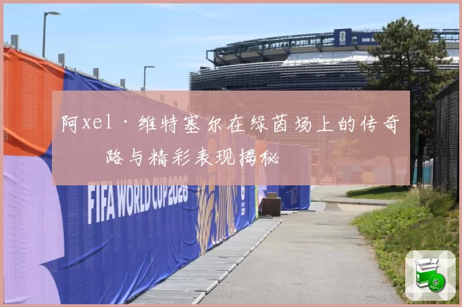 阿xel·维特塞尔在绿茵场上的传奇之路与精彩表现揭秘
