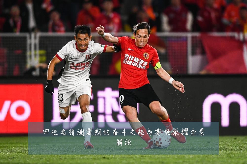 田径名将谢震朔的奋斗之路与赛场荣耀全景解读