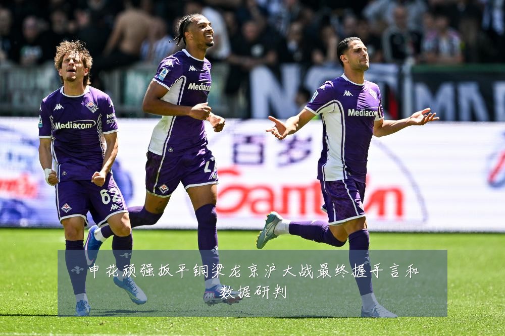 申花顽强扳平铜梁龙京沪大战最终握手言和数据研判