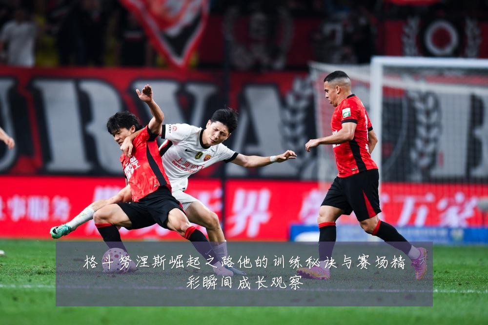 格斗努涅斯崛起之路他的训练秘诀与赛场精彩瞬间成长观察